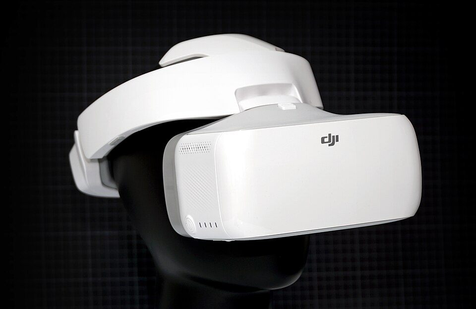 DJI Goggles